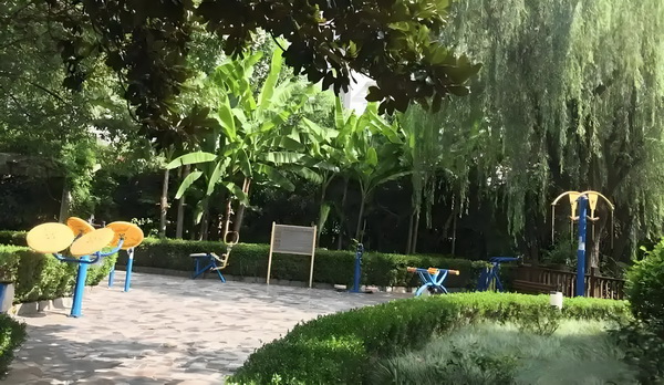 邪皇宠妃
